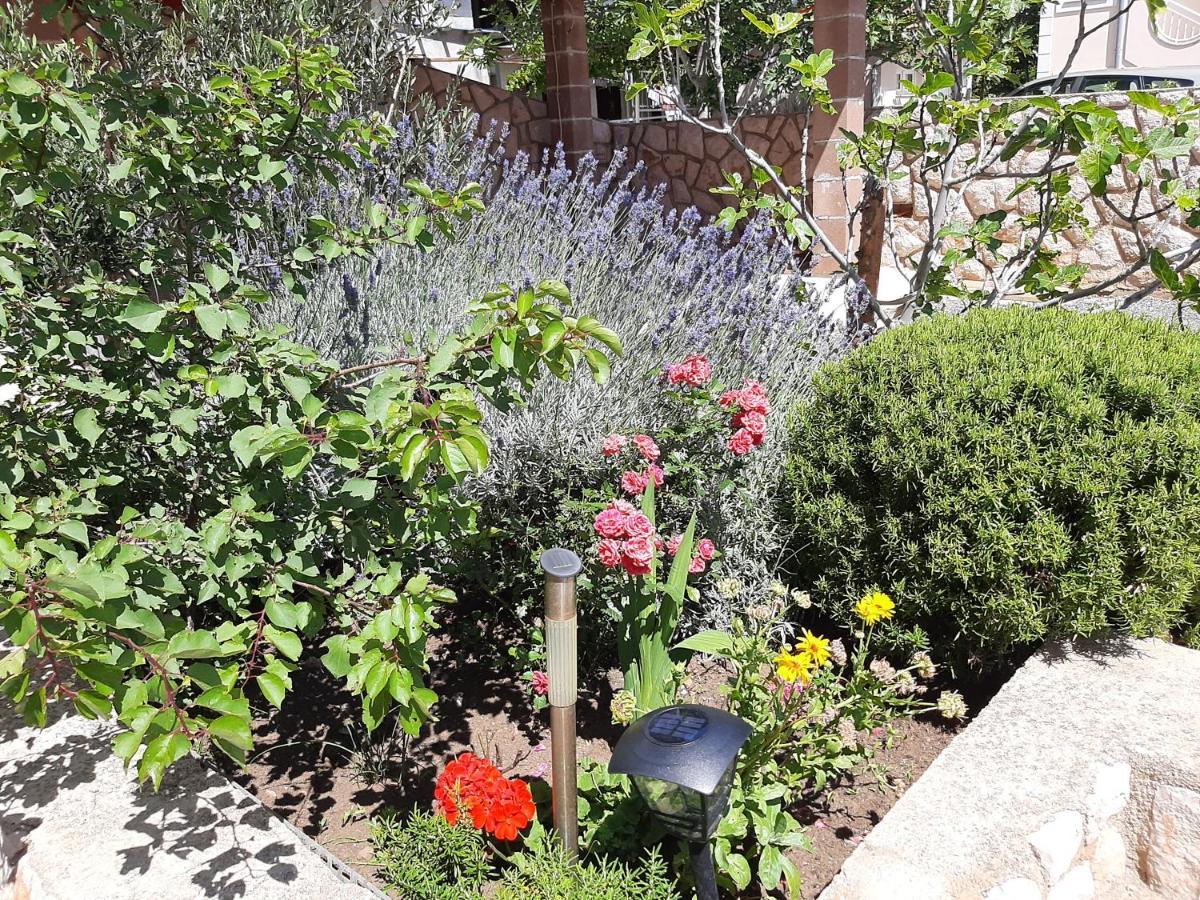 Apartments Pavelic Novi Vinodolski Εξωτερικό φωτογραφία
